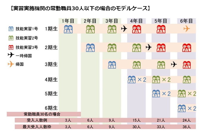 技能実習生の受入れ可能人数（団体監理型）